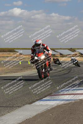 media/Nov-03-2024-TrackDaz (Sun) [[44580f4982]]/B Group/1220pm (Wheelie Bump)/